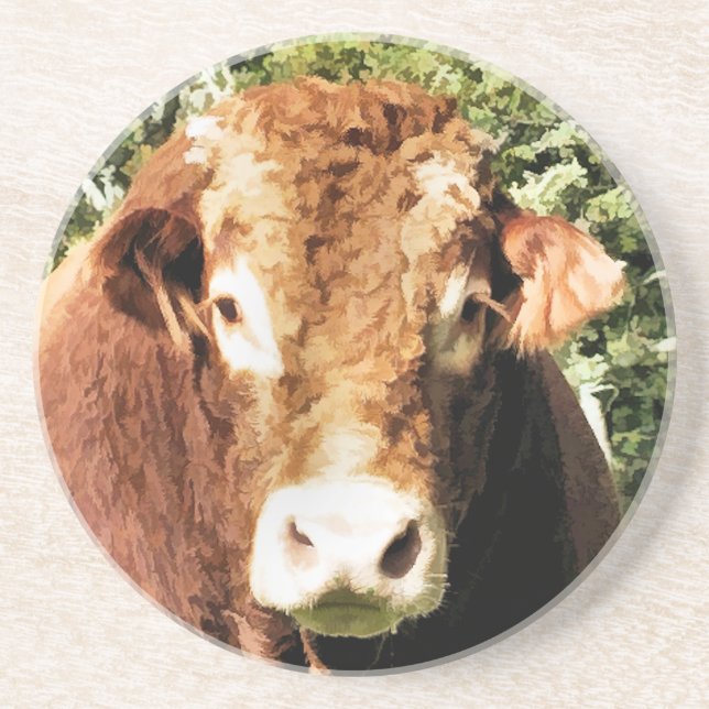 DIE BULL UNTERSETZER (Vorne)