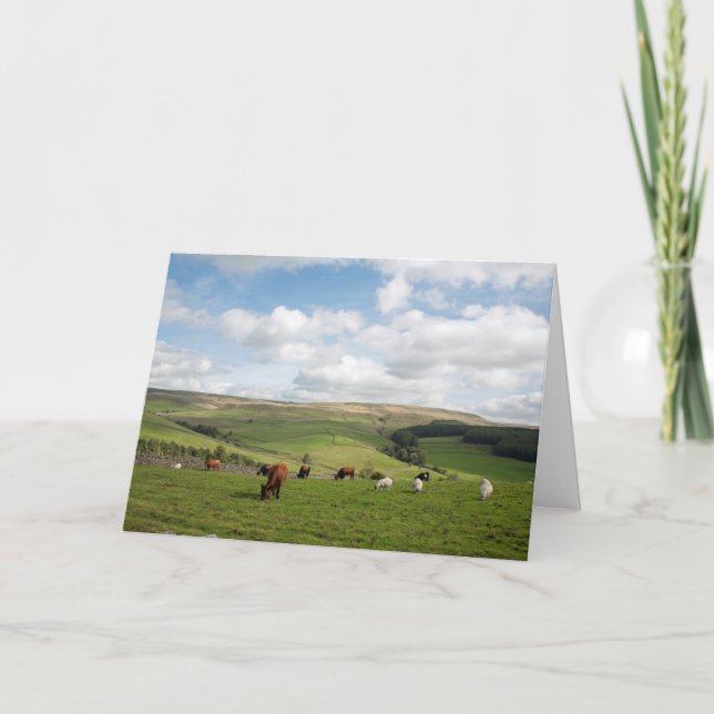 Die Cat and Fiddle Inn Postkarte (Vorderseite)