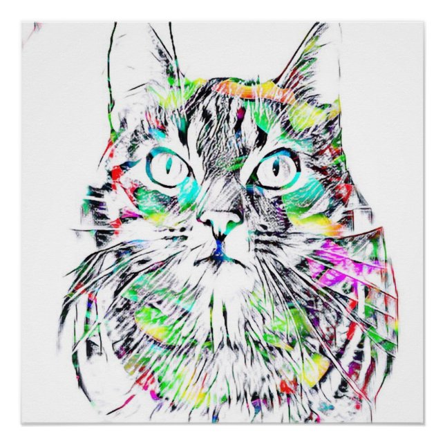 Die CAT Poster (Vorderseite)