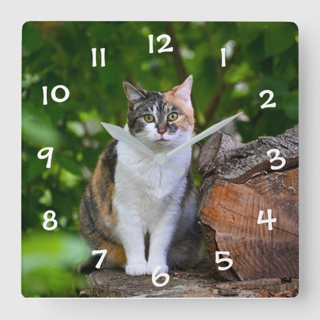 Die CAT Quadratische Wanduhr (Vorderseite)