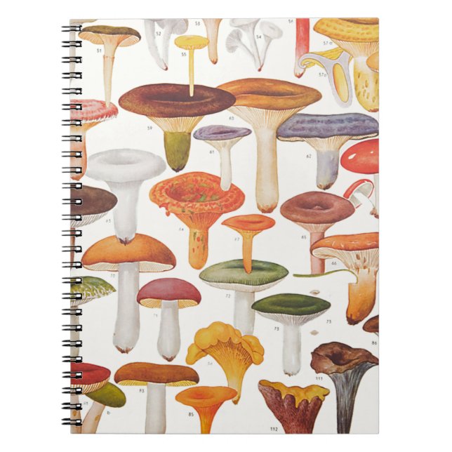 Die Champignons Pilze Notizblock (Vorderseite)