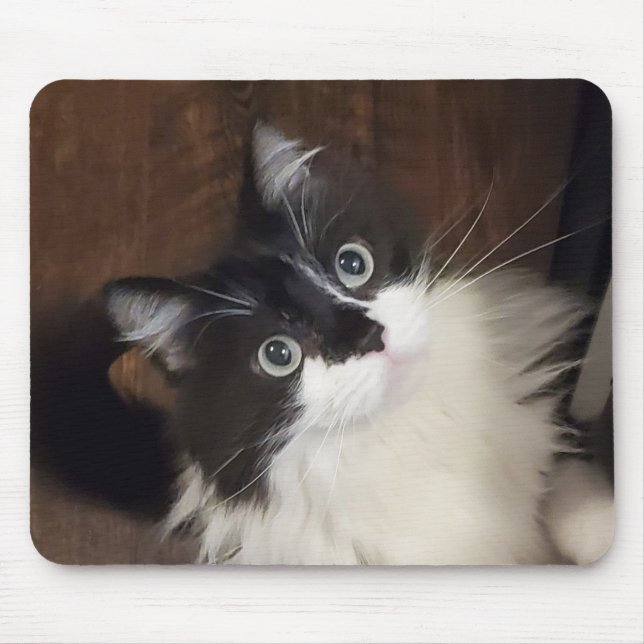 Die Chroniken von Todd - Mauspad (Vorne)