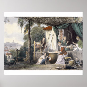 die Chrysaliden zerstören und die Kokons niedersch Poster