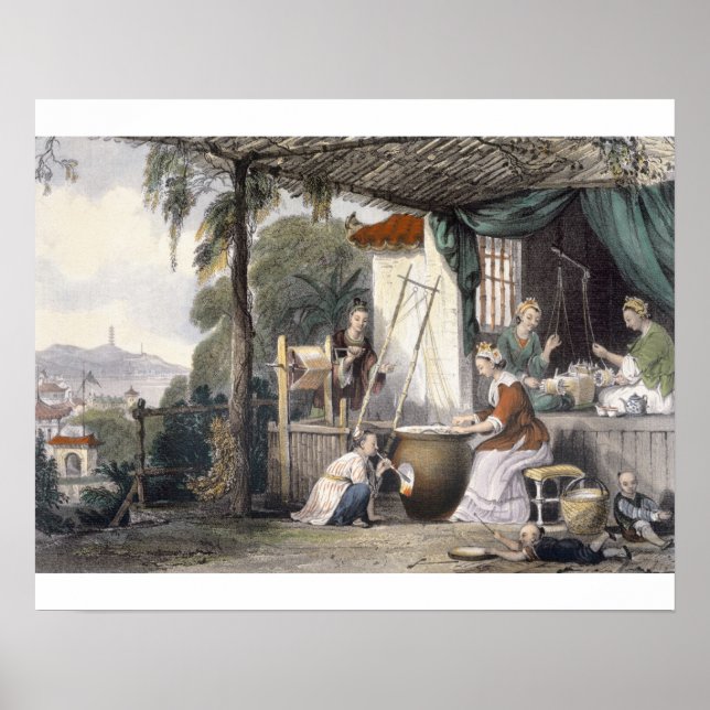 die Chrysaliden zerstören und die Kokons niedersch Poster (Vorne)