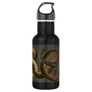 Die Coachwhip Schlange Wasserflasche