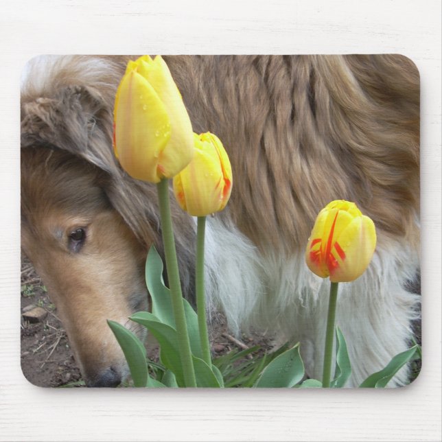 Die Collie und die Tulips Mousepad (Vorne)