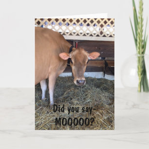 DIE COW FRAGE "HABE U MOO GESAGT?"/LIEBE AUCH SIE KARTE