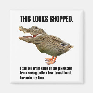 Die Crocoduck Täuschung Magnet