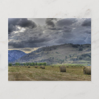 Die Crop ist da. Postkarte von Midway B.C.