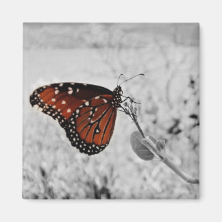 Die Dame am See Magnet