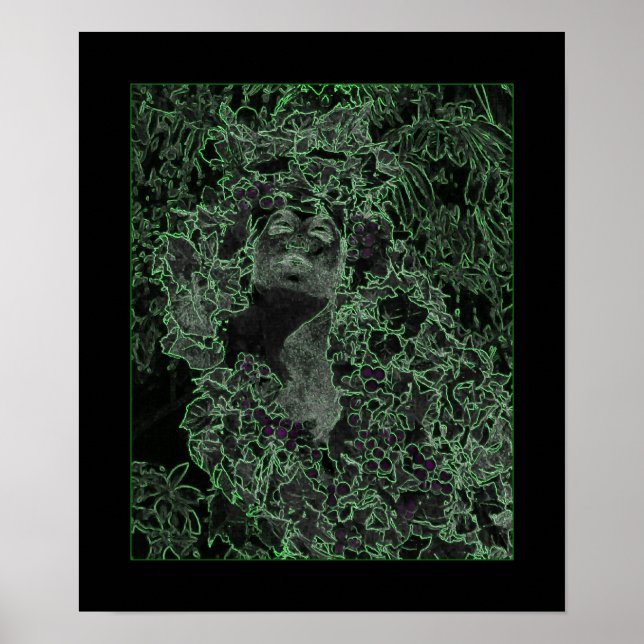 Die Dame des Waldes Poster (Vorne)