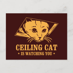 Die Deckenkatze beobachtet dich Postkarte