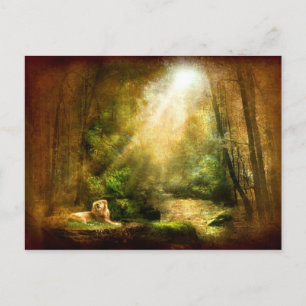 Die Demut des Königs Postkarte