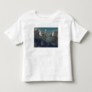 Die Der Bahamas Andros-Insel 2 Kleinkind T-shirt