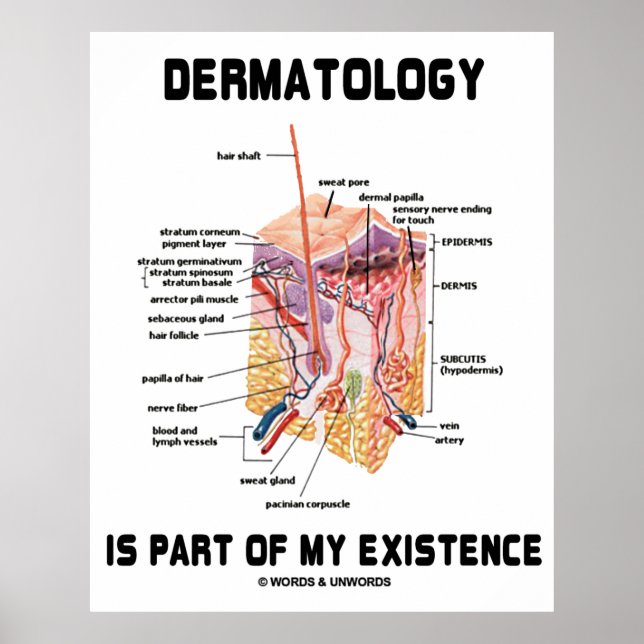 Die Dermatologie ist Teil meiner Existenz (Anatomi Poster (Vorne)