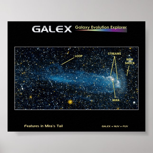 Die detaillierte Star Mira mit Schwanz Poster (Vorne)