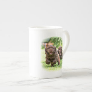 Die DIBBLE Knochen-China-Tasse "Blick heraus kommt Prozellantasse