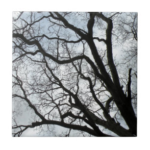 Die Die Ader-Keramik-Fliese des Baums Fliese