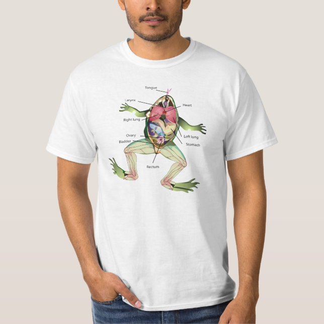 Die Die Anatomie-Illustration des Frosches T-Shirt (Vorderseite)