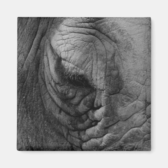 Die Dinge, die ich gesehen habe, weißer Rhino. Mag Magnet (Vorne)