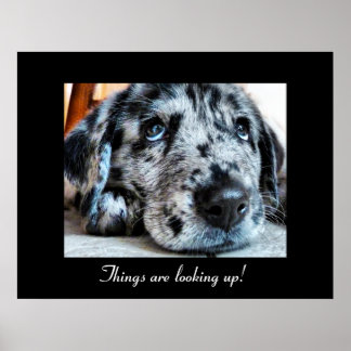 Die Dinge schauen nach oben! Poster