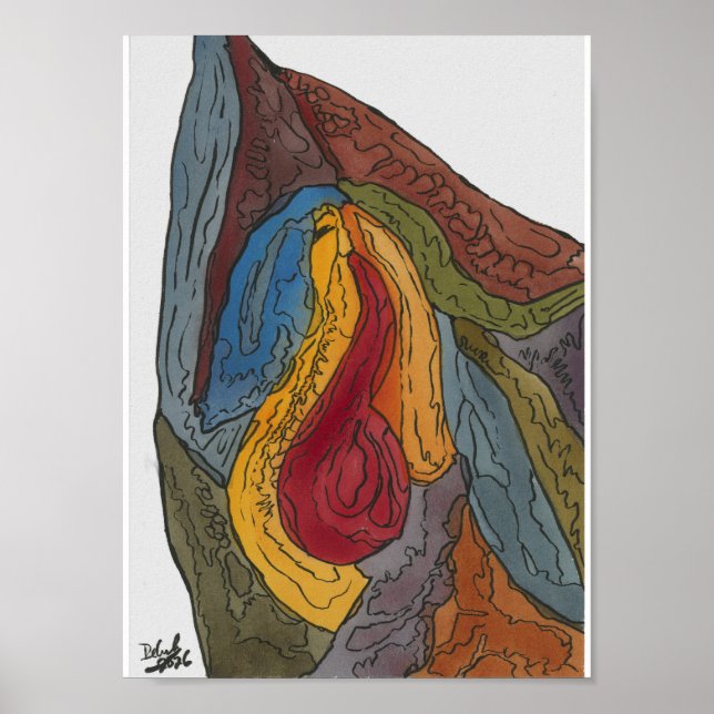 Die Dinge sehen gut aus Poster (Vorne)