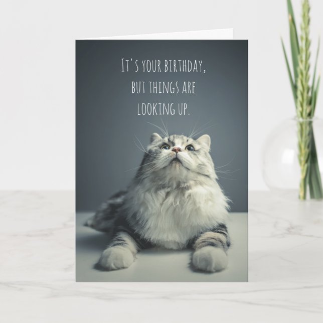 Die Dinge sehen sich die Cat Birthday Card an Karte (Vorderseite)