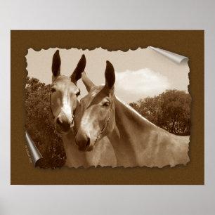 Die Diskussion Poster