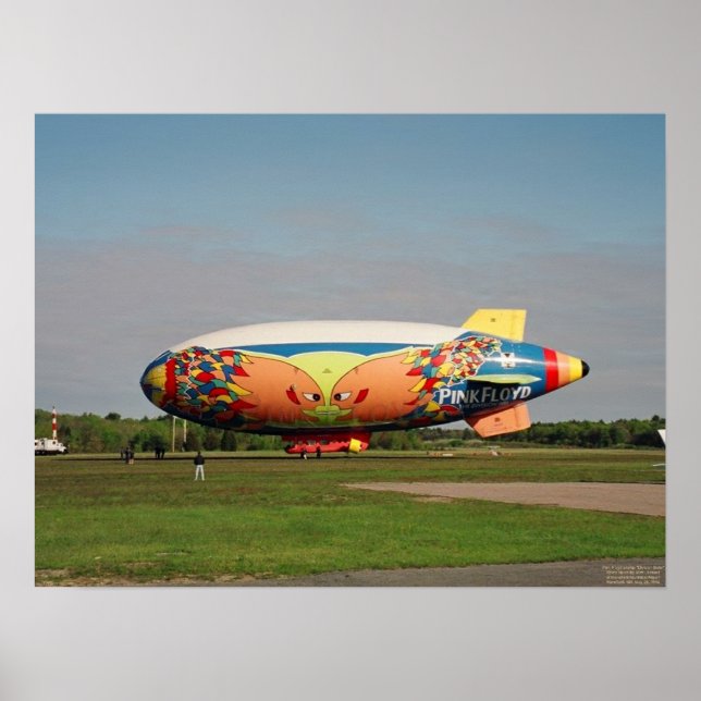 Die Division Belle Poster (Vorne)