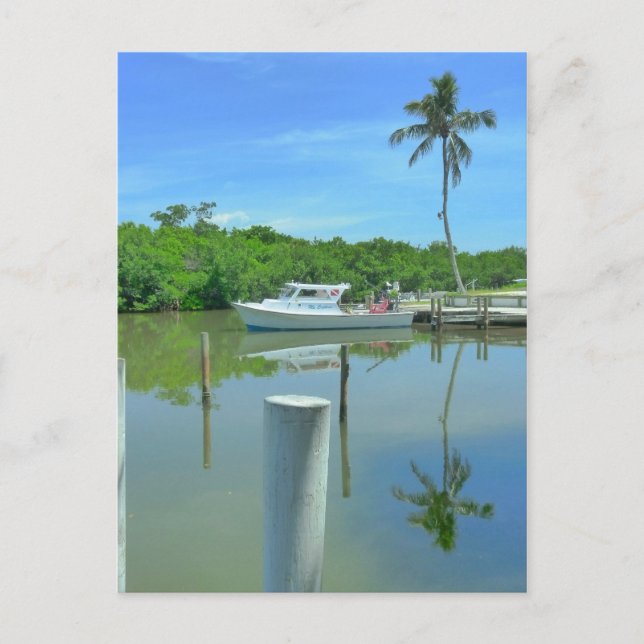 Die doppelte Schönheit Postkarte (Vorderseite)