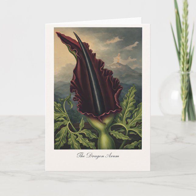 Die Drachenwurz — Moderne botanische Neuinterpreta Karte (Vorderseite)