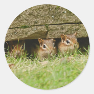 die drei Amigos Runder Aufkleber