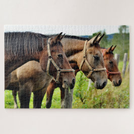 Die drei Amigos Staring-Freunde Puzzle