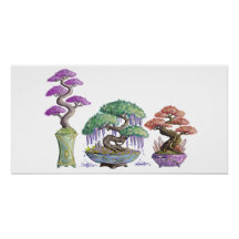 Die drei farbigen Bonsai-Vasen.