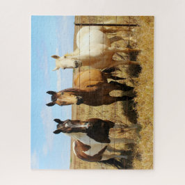 Die drei Freunde des Pferdes Amigos Puzzle