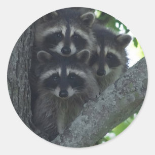 Die drei Freunde Runder Aufkleber