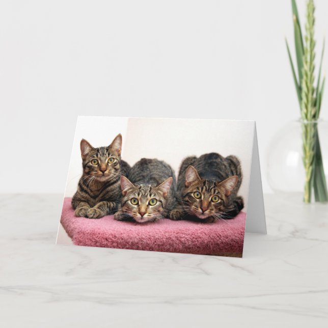 Die drei Karten des Freundes (Vorderseite)