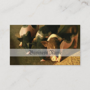 Die drei kleinen Schweine Visitenkarte