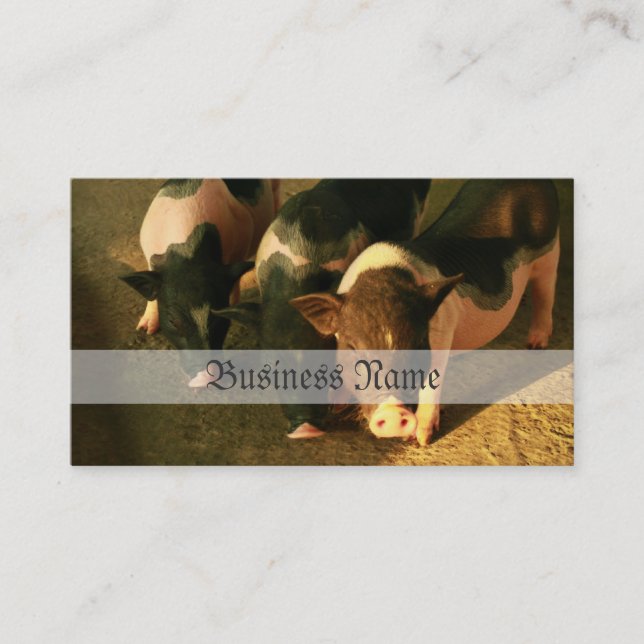 Die drei kleinen Schweine Visitenkarte (Vorderseite)