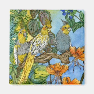 Die drei Muskaten Magnet