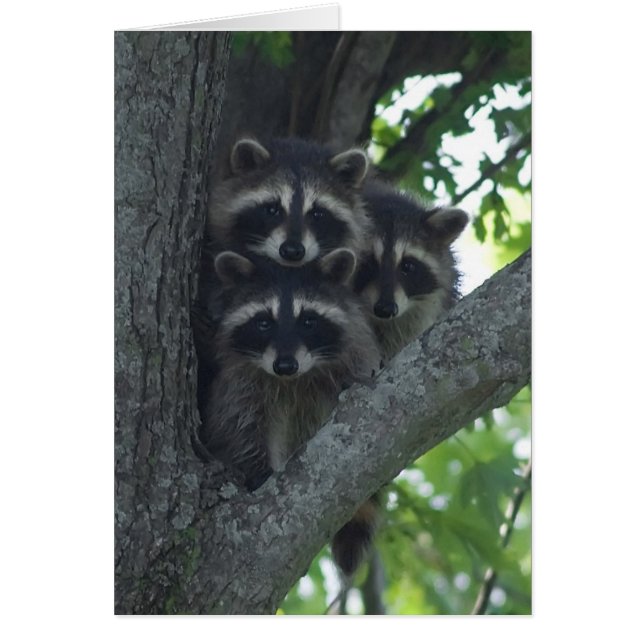 Die drei Ziele (Vorne)