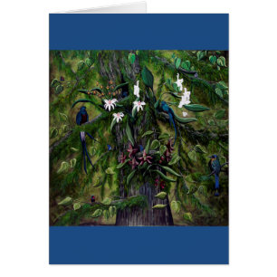 Die Dschungel von Tikal