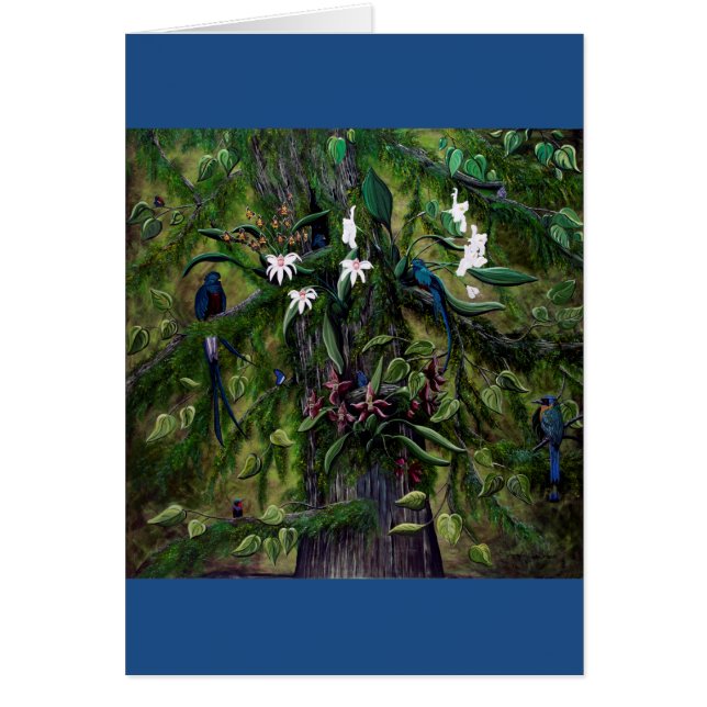 Die Dschungel von Tikal (Vorne)