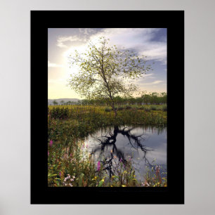 Die dunkle Seite - Le Côté obscur Poster