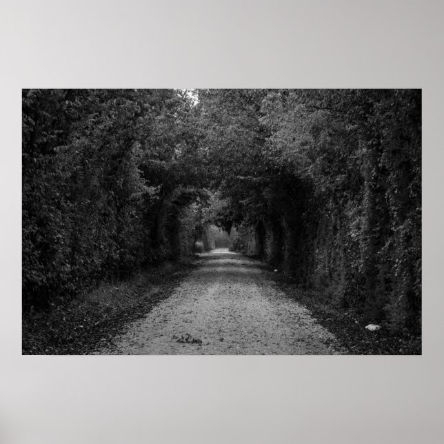 Die dunkle Straße Poster (Vorne)