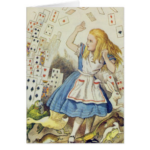 Die Dusche der Karten