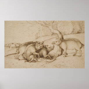 Die Eber-Familie Poster