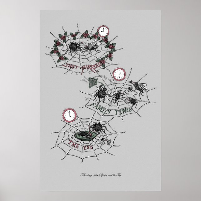 Die Ehe der Spinne und das Fly Poster Print (Vorne)