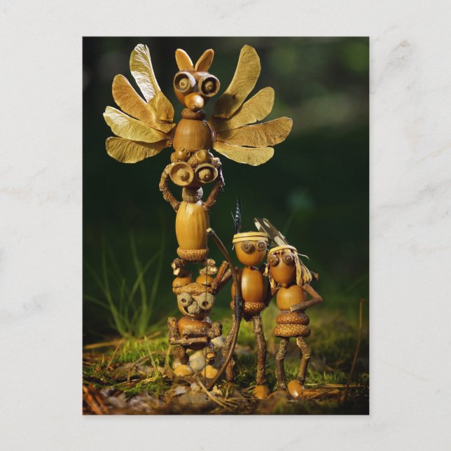 Die Eichelfen spielen Inder. Summer Camping Postkarte (Vorderseite)