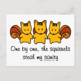 Die Eichhörnchen stehlen meinem Verstand Postkarte